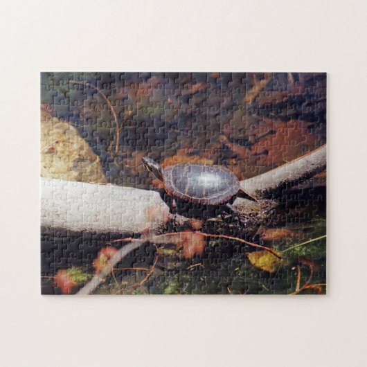 Gelukkige Schildpad Legpuzzel (Horizontaal)