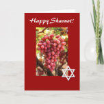 Gelukkige shavuot-Rode Druiven/Jodenster Feestdagen Kaart<br><div class="desc">Deze mooie rode kaart kenmerkt mooie rode druiven,  en een Jodenster die de Joodse vakantie van Shavuot vieren!  Binnen blik ben gepersonaliseerd om te zeggen wat u wenst. Het afbeelding is openbaar domein met toestemming van http://www.public-domain-image.com/</div>