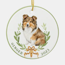 Gelukkige Sheltie in Laurel Wreath