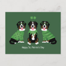 Gelukkige St Patricks Dag Berner Mountain Dogs