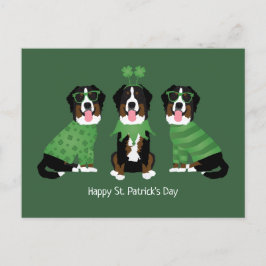 Gelukkige St Patricks Dag Berner Mountain Dogs Briefkaart