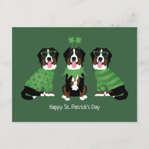 Gelukkige St Patricks Dag Berner Mountain Dogs Briefkaart