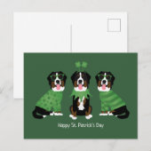 Gelukkige St Patricks Dag Berner Mountain Dogs Briefkaart (Voorkant / Achterkant)