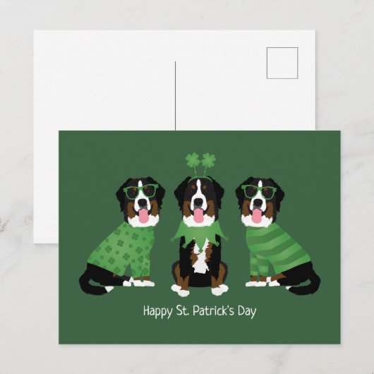 Gelukkige St Patricks Dag Berner Mountain Dogs Briefkaart (Voorkant / Achterkant)