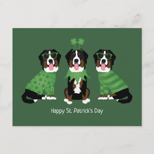 Gelukkige St Patricks Dag Berner Mountain Dogs Briefkaart (Voorkant)
