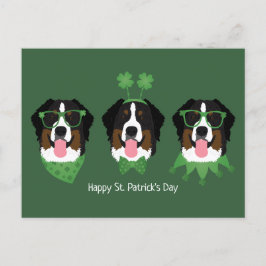 Gelukkige St Patricks Dag Berner Mountain Dogs Briefkaart