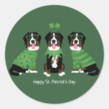 Gelukkige St Patricks Dag Berner Mountain Dogs