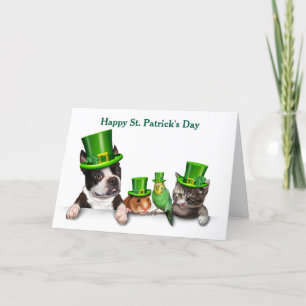 Gelukkige St. Patrick's Day Huisdieren Feestdagen Kaart