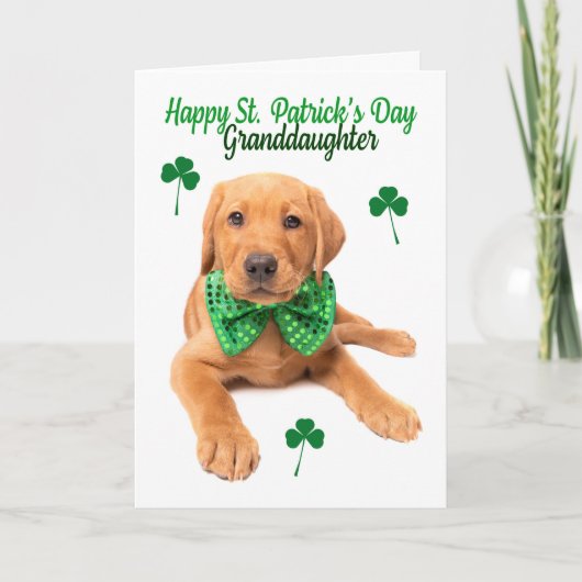 Gelukkige St Patrick's Day kleindochter Lab Puppy Feestdagen Kaart (Voorkant)