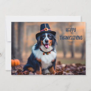 Gelukkige Thanksgiving Berner Berg Hond Pelgrim Feestdagenkaart