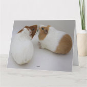 Gelukkige Thanksgiving-cavia's Kaart (Achterkant)