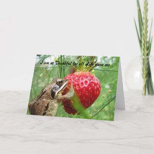 Gelukkige Thanksgiving Feestdagen Kaart