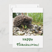 Gelukkige Thanksgiving! Feestdagenkaart (Voorkant / Achterkant)