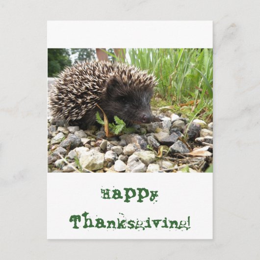 Gelukkige Thanksgiving! Feestdagenkaart (Voorkant)