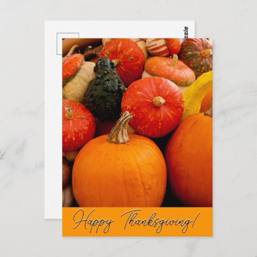 Gelukkige Thanksgiving Pompoenen en Squash Briefkaart (Voorkant / Achterkant)