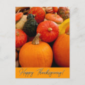 Gelukkige Thanksgiving Pompoenen en Squash Briefkaart (Voorkant)