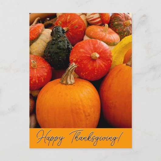 Gelukkige Thanksgiving Pompoenen en Squash Briefkaart (Voorkant)