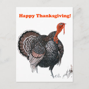 Gelukkige Thanksgiving Turkije Tekening Feestdagenkaart