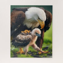 Gelukkige Vaderdag Amerikaanse Vader Als Een Adela