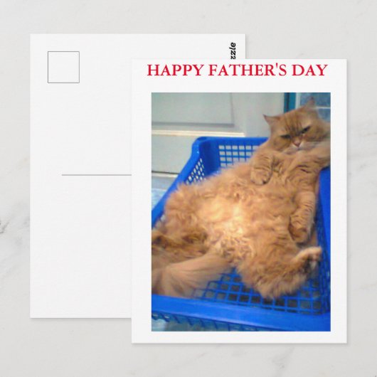 gelukkige vaderdag briefkaart (Voorkant / Achterkant)