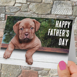 Gelukkige Vaderdag Schattige Bruine Puppy Foto Sja Kaart