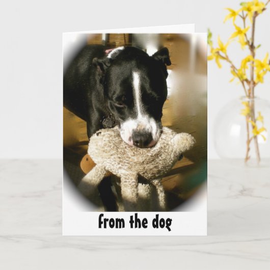 Gelukkige Vaderdag van de hond Kaart (Gele Bloem)