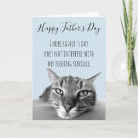 Gelukkige Vaderdag Van Kat Tot Menselijke Humor