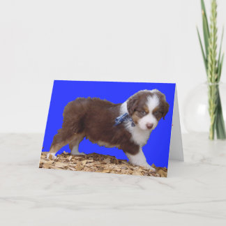 Gelukkige Valentijnsdag Aussie Feestdagen Kaart