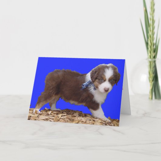 Gelukkige Valentijnsdag Aussie Feestdagen Kaart (Voorkant)