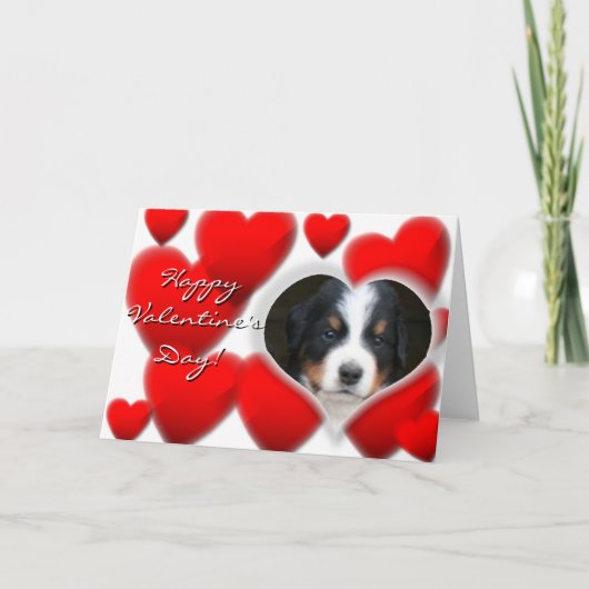 Gelukkige Valentijnsdag Berner Sennenhond kaart (Voorkant)