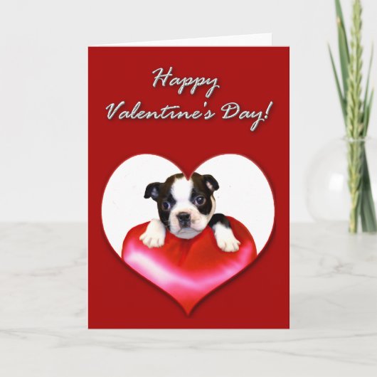 Gelukkige Valentijnsdag Boston Terrier kaart (Voorkant)