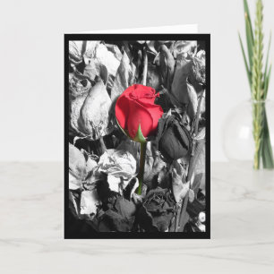 Gelukkige Valentijnsdag Feestdagen Kaart