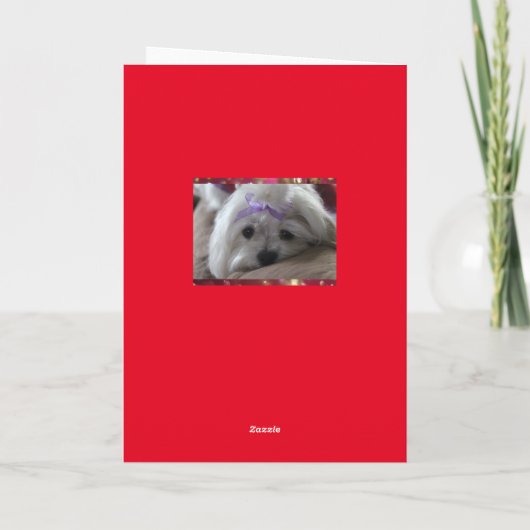 Gelukkige Valentijnsdag Feestdagen Kaart (Achterkant)