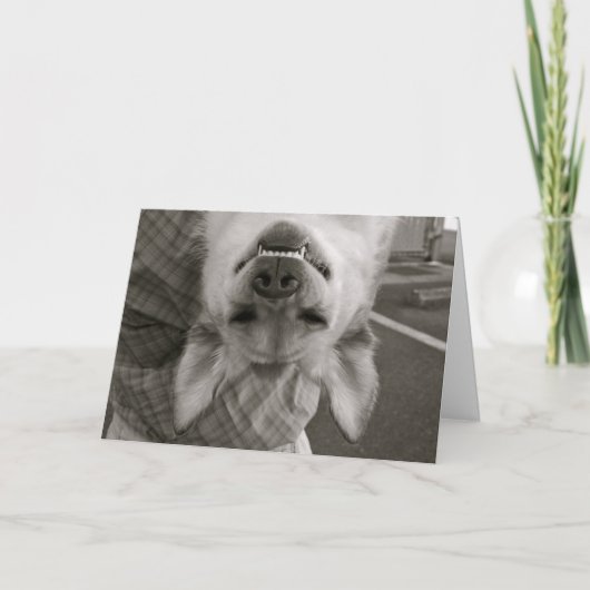 Gelukkige Valentijnsdag Feestdagen Kaart (Voorkant)