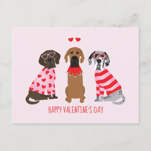 Gelukkige Valentijnsdag Grote Deen Honden Briefkaart