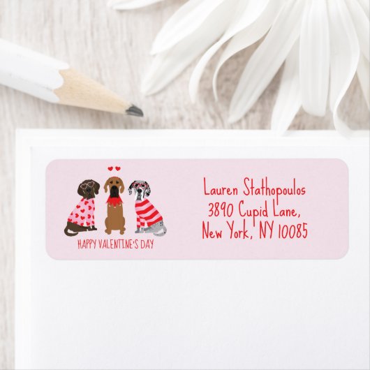 Gelukkige Valentijnsdag Grote Deen Honden Etiket (Insitu)