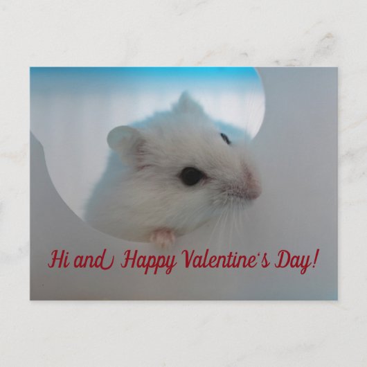Gelukkige Valentijnsdag Hamster Feestdagenkaart (Voorkant)