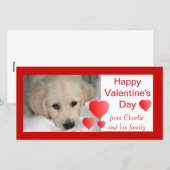 Gelukkige Valentijnsdag Hond Fotokaarten Feestdagenkaart (Voorkant / Achterkant)