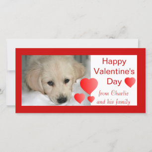 Gelukkige Valentijnsdag Hond Fotokaarten Feestdagenkaart