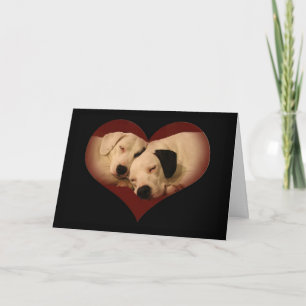 Gelukkige Valentijnsdag, Honing! Feestdagen Kaart