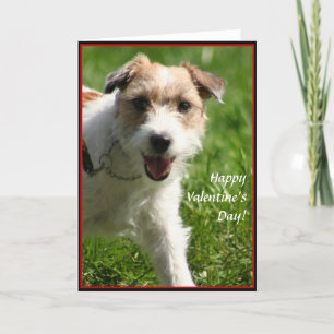 Gelukkige Valentijnsdag Jack Russell Terrier kaart