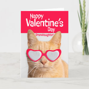 Gelukkige Valentijnsdag Kleindochter Kat in Bril Feestdagen Kaart
