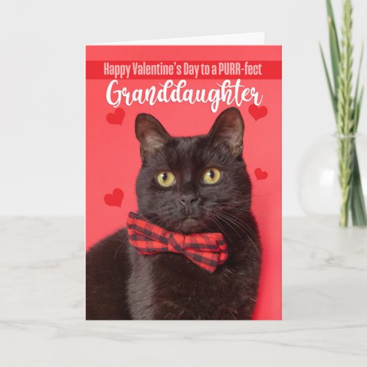 Gelukkige Valentijnsdag kleindochter Schattige Cat Feestdagen Kaart (Voorkant)