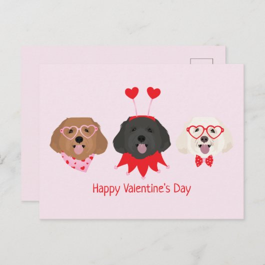 Gelukkige Valentijnsdag Maltipoo Honden Briefkaart (Voorkant / Achterkant)