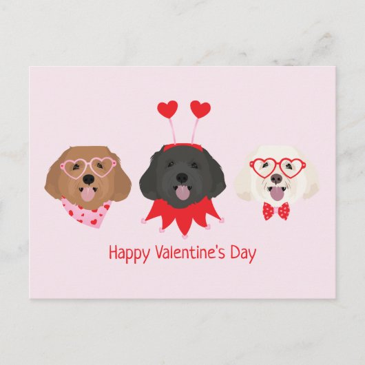 Gelukkige Valentijnsdag Maltipoo Honden Briefkaart (Voorkant)