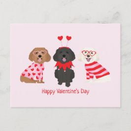 Gelukkige Valentijnsdag Maltipoo Honden Briefkaart