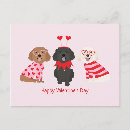 Gelukkige Valentijnsdag Maltipoo Honden Briefkaart (Voorkant)