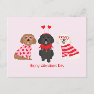 Gelukkige Valentijnsdag Maltipoo Honden Briefkaart