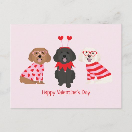 Gelukkige Valentijnsdag Maltipoo Honden Briefkaart (Voorkant)