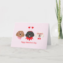 Gelukkige Valentijnsdag Maltipoo Honden